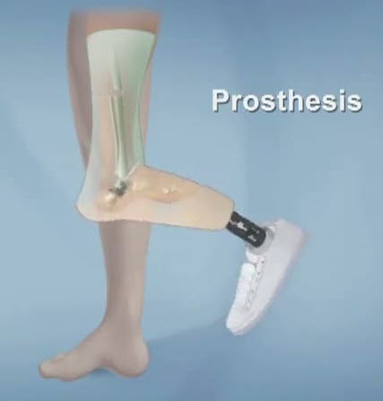 5-22-2011-8-23-25-AM