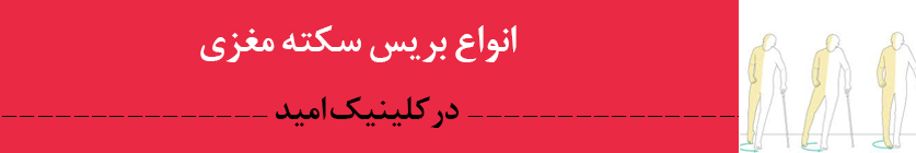 sekte-maghzi
