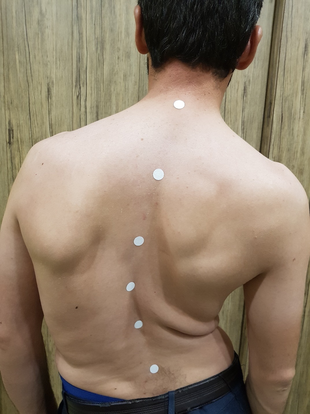 بریس میلواکی